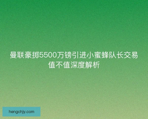 曼联豪掷5500万镑引进小蜜蜂队长交易值不值深度解析